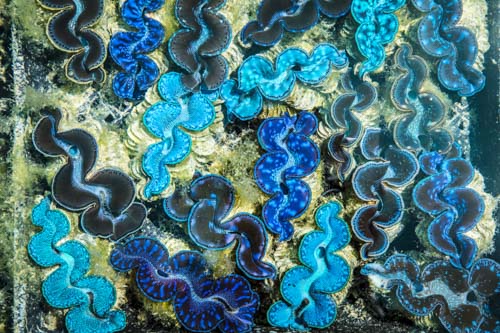 cocos keeling island photo tour example 13